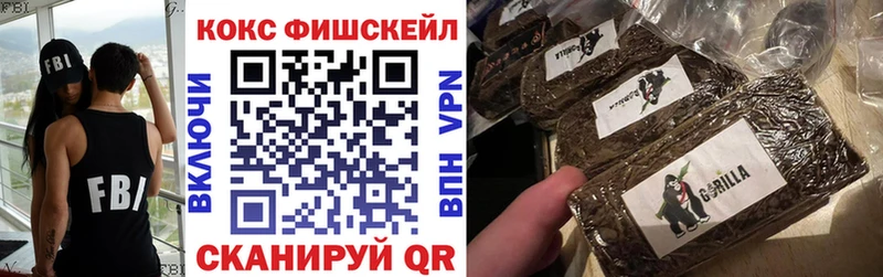 где найти   Судогда  COCAIN 98% 