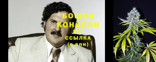 индика Нея