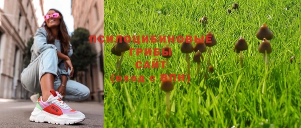 индика Нея
