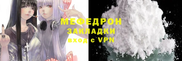 индика Нея