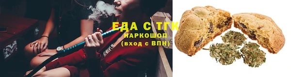 индика Нея