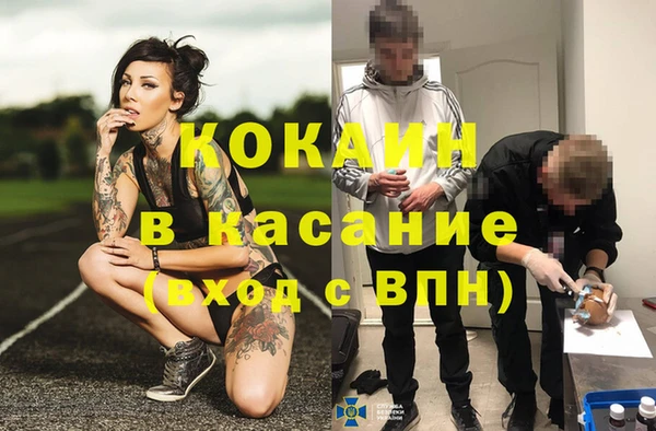 индика Нея