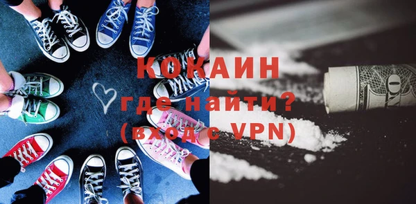 индика Нея