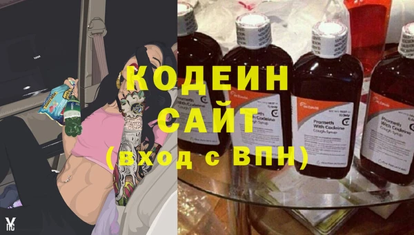 индика Нея