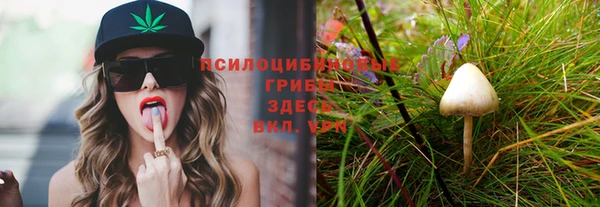 индика Нея