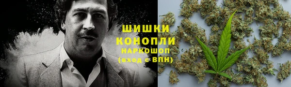 индика Нея