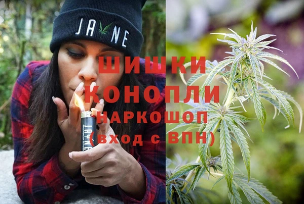 индика Нея