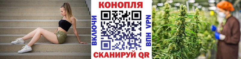Марихуана планчик  что такое   Судогда 